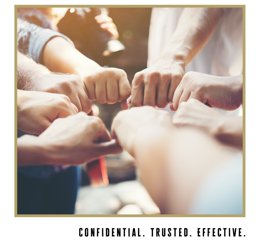 Wellness & Team Building