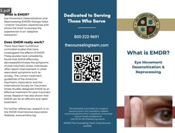trifoldpreview_emdr-1024x784